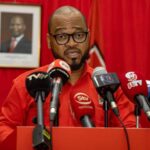 Partido Frelimo critica actos xenófobos na África do Sul - Rádio Moçambique