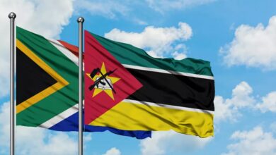 Moçambique e África do Sul reforçam cooperação e gestão da imigração - Rádio Moçambique
