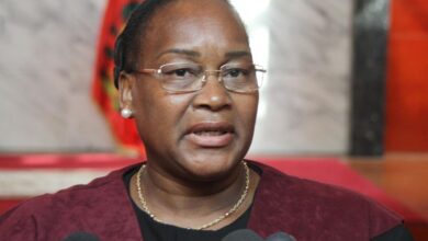 Presidente do Conselho Constitucional defende reflexão sobre constitucionalismo digital em Moçambique - Rádio Moçambique