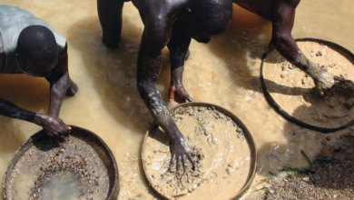 Malawi deporta sete moçambicanos por mineração ilegal de ouro - Rádio Moçambique