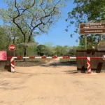 Governo mobiliza cerca de dois mil milhões para conservação da biodiversidade no Parque Nacional de Gilé - Rádio Moçambique