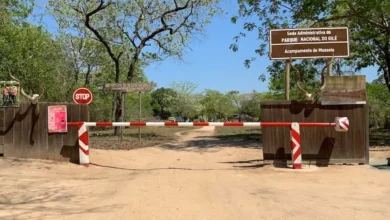 Governo mobiliza cerca de dois mil milhões para conservação da biodiversidade no Parque Nacional de Gilé - Rádio Moçambique