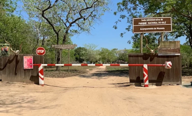 Governo mobiliza cerca de dois mil milhões para conservação da biodiversidade no Parque Nacional de Gilé - Rádio Moçambique