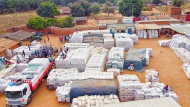 Niassa dispõe de mais de 17 mil toneladas para reforçar segurança alimentar - Rádio Moçambique