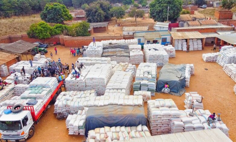 Niassa dispõe de mais de 17 mil toneladas para reforçar segurança alimentar - Rádio Moçambique
