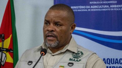 Governo realiza missão exploratória em Sofala no âmbito do MozAgriBiz - Rádio Moçambique