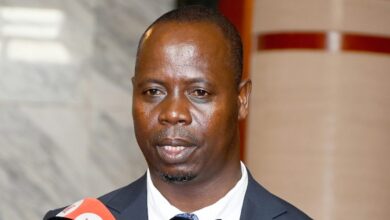 Província de Maputo disponibiliza mais de 14 mil hectares para atrair investimento - Rádio Moçambique