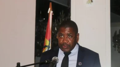 SE defende parcerias público-privadas para impulsionar turismo em Maputo - Rádio Moçambique
