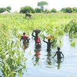 Moçambique integra programa regional de resposta ao deslocamento climático na África Austral - Rádio Moçambique