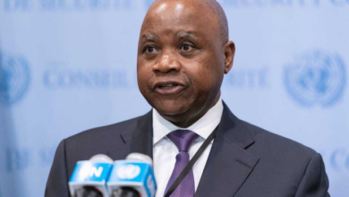 AR destaca estabilidade no Niassa e alerta para fragilidade no controlo fronteiriço - Rádio Moçambique