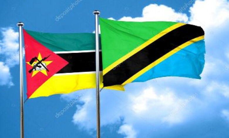 Moçambique e Tanzânia reforçam cooperação no combate ao crime transnacional - Rádio Moçambique