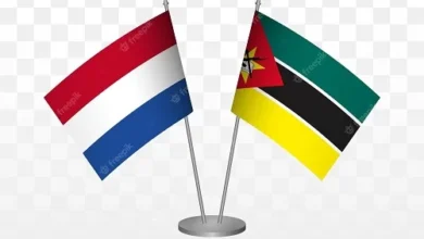 Moçambique e Países Baixos assinam acordo para fortalecer sector de sementes - Rádio Moçambique