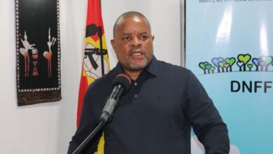 Governo projecta auto-suficiência na produção de hortícolas até ao final de 2027 - Rádio Moçambique