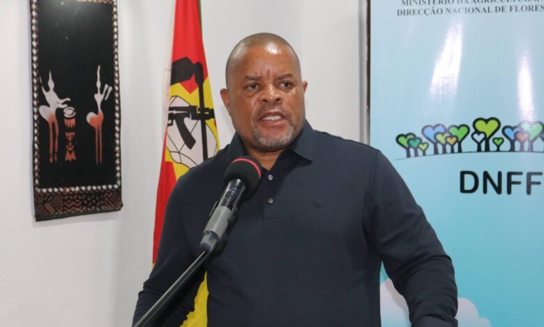 Governo projecta auto-suficiência na produção de hortícolas até ao final de 2027 - Rádio Moçambique