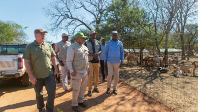 Massingir consolida-se como pólo de desenvolvimento agrário - Rádio Moçambique