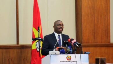 COTE reforça preparação do Diálogo Nacional Inclusivo com apoio do IDEA Internacional - Rádio Moçambique