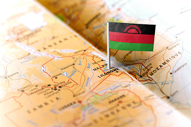Malawi perde cerca de 250 mil hectares de floresta por ano - Rádio Moçambique
