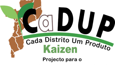Programa CaDUP-ProAssiste apoia 15 PMEs com financiamento de 120 mil meticais - Rádio Moçambique