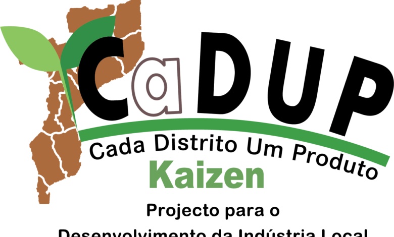 Programa CaDUP-ProAssiste apoia 15 PMEs com financiamento de 120 mil meticais - Rádio Moçambique