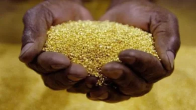 Manica regista queda na produção de ouro devido à suspensão da actividade mineira - Rádio Moçambique
