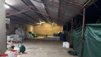 Polícia sul-africana desmantela laboratório de drogas em Musina - Rádio Moçambique