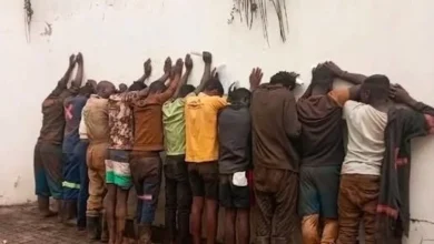 3 moçambicanos detidos em Mpumalanga por imigração ilegal - Rádio Moçambique