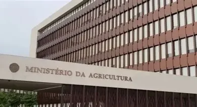 Ministério da agricultura, ambiente e pescas implementa vários programas a nível dos regadios, para torná-los sustentáveis, através do aumento da produção e produtividade. - Rádio Moçambique