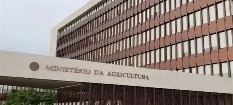 Ministério da agricultura, ambiente e pescas implementa vários programas a nível dos regadios, para torná-los sustentáveis, através do aumento da produção e produtividade. - Rádio Moçambique